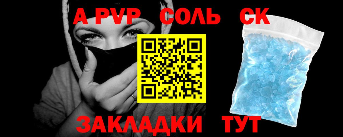 Альфа ПВП СК КРИС Курчалой