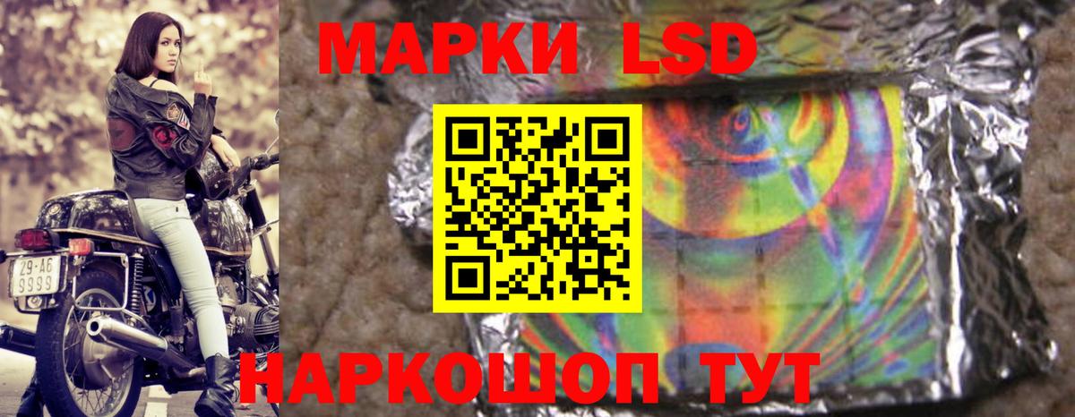 Курчалой  Лсд 25 экстази кислота  Вход с VPN  ЛСД экстази ecstasy 