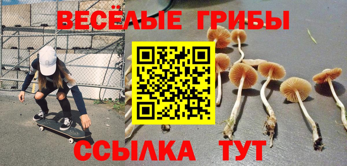 Курчалой  Галлюциногенные грибы GOLDEN TEACHER  Псилоцибиновые грибы GOLDEN TEACHER  Вход с VPN 